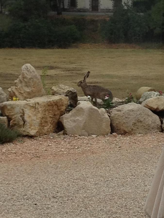 Bed and Breakfast Il Casale San Martino Norcia Exterior foto